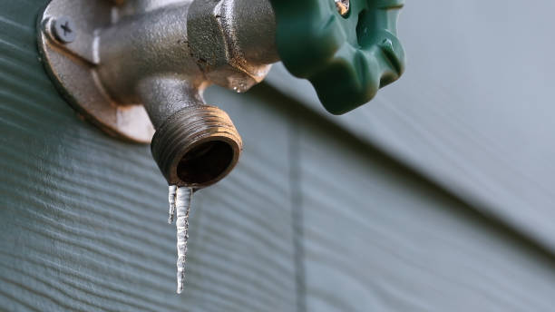 Best Best Plumbers Near Me  in Nutter Fort, WV